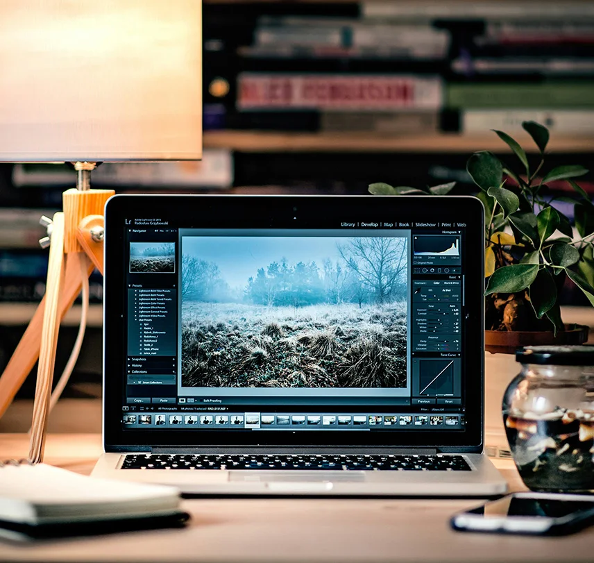 Creative vision for growth